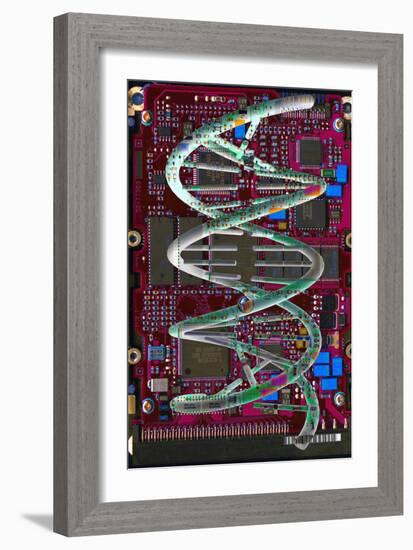 DNA Helix on Circuit Board-Christian Darkin-Framed Photographic Print