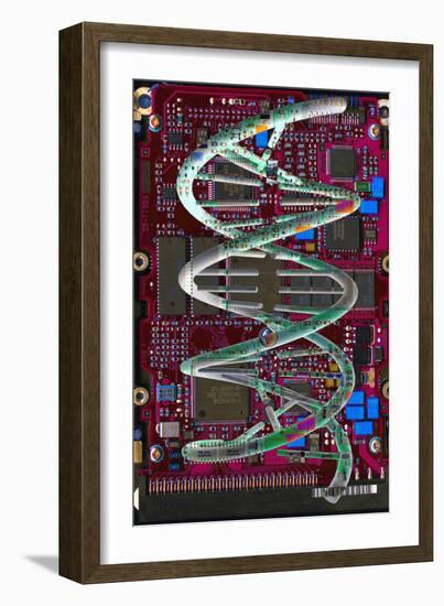 DNA Helix on Circuit Board-Christian Darkin-Framed Photographic Print