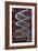 DNA Helix on Circuit Board-Christian Darkin-Framed Photographic Print