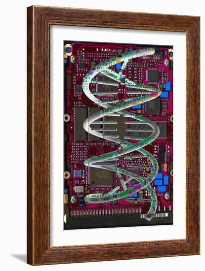 DNA Helix on Circuit Board-Christian Darkin-Framed Photographic Print