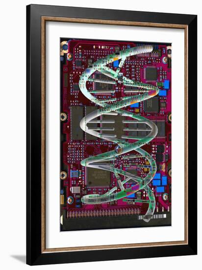 DNA Helix on Circuit Board-Christian Darkin-Framed Photographic Print