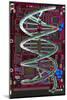 DNA Helix on Circuit Board-Christian Darkin-Mounted Photographic Print