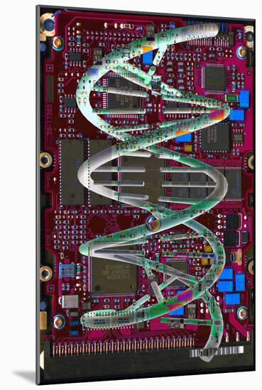 DNA Helix on Circuit Board-Christian Darkin-Mounted Photographic Print