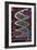 DNA Helix on Circuit Board-Christian Darkin-Framed Photographic Print