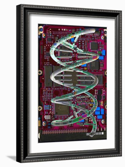 DNA Helix on Circuit Board-Christian Darkin-Framed Photographic Print