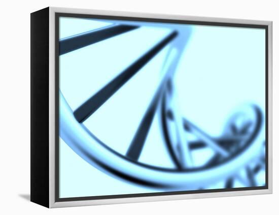 DNA Helix-PASIEKA-Framed Premier Image Canvas