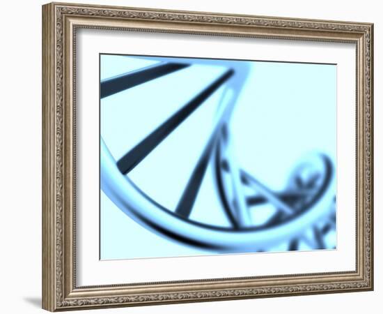 DNA Helix-PASIEKA-Framed Photographic Print