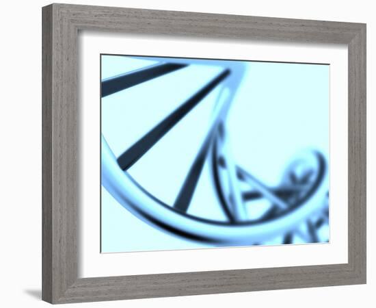 DNA Helix-PASIEKA-Framed Photographic Print