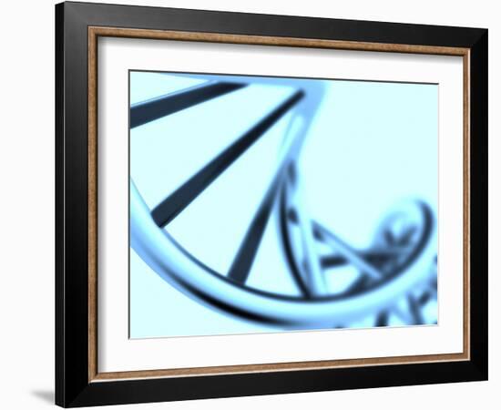 DNA Helix-PASIEKA-Framed Photographic Print