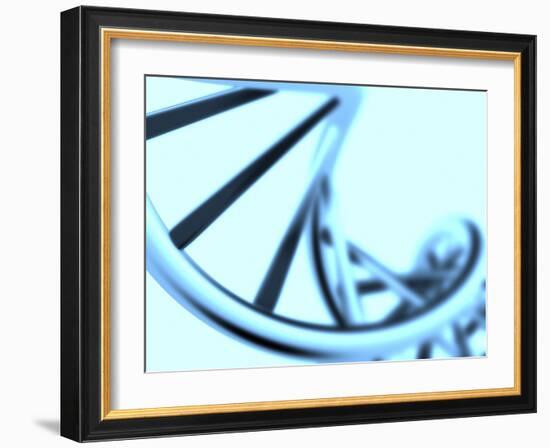 DNA Helix-PASIEKA-Framed Photographic Print