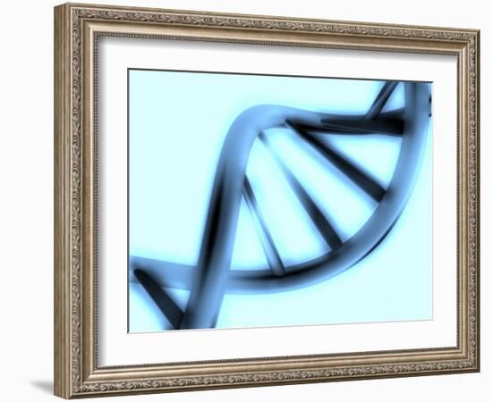 DNA Helix-PASIEKA-Framed Photographic Print