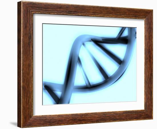 DNA Helix-PASIEKA-Framed Photographic Print