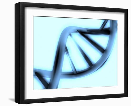 DNA Helix-PASIEKA-Framed Photographic Print