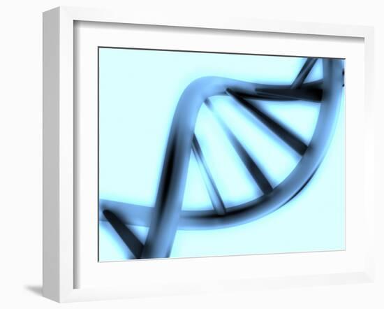 DNA Helix-PASIEKA-Framed Photographic Print