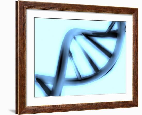 DNA Helix-PASIEKA-Framed Photographic Print