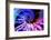 DNA Helix-PASIEKA-Framed Photographic Print