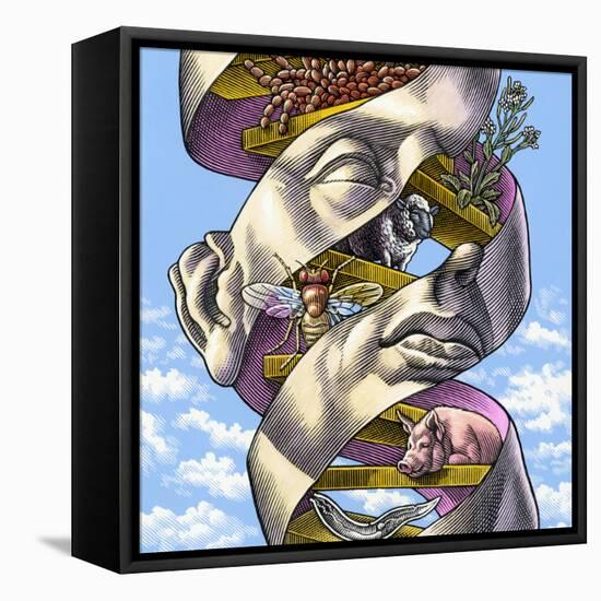 DNA In All Living Things, Artwork-Bill Sanderson-Framed Premier Image Canvas