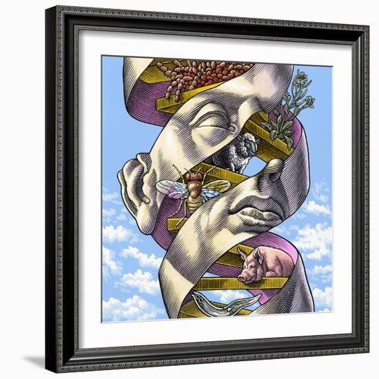 DNA In All Living Things, Artwork-Bill Sanderson-Framed Premium Photographic Print