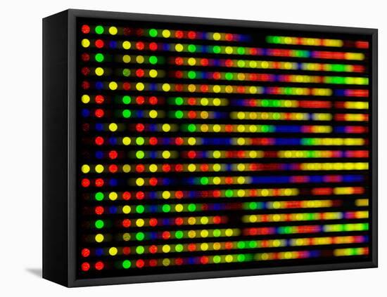 DNA Microarray-PASIEKA-Framed Premier Image Canvas