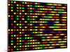 DNA Microarray-PASIEKA-Mounted Photographic Print