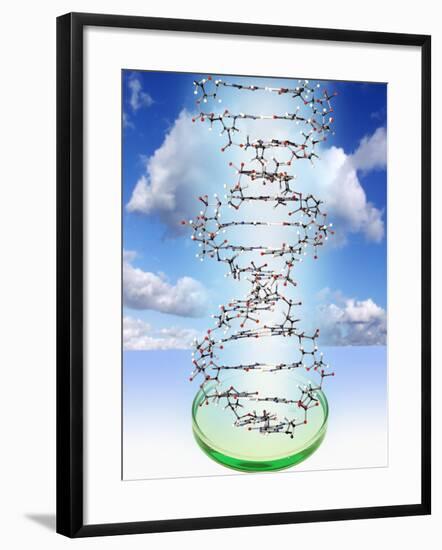 DNA Molecule And Petri Dish-Victor De Schwanberg-Framed Photographic Print