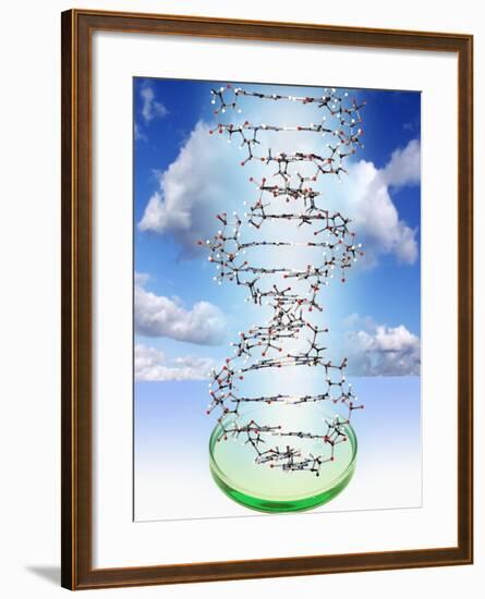 DNA Molecule And Petri Dish-Victor De Schwanberg-Framed Photographic Print