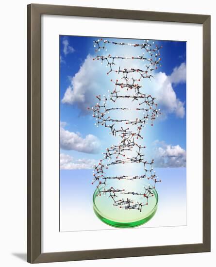 DNA Molecule And Petri Dish-Victor De Schwanberg-Framed Photographic Print