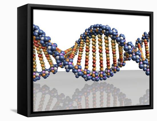 DNA Molecule, Computer Artwork-PASIEKA-Framed Premier Image Canvas