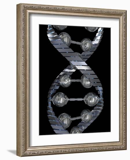 DNA Molecule, Computer Artwork-David Mack-Framed Photographic Print