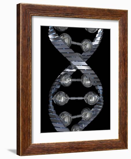 DNA Molecule, Computer Artwork-David Mack-Framed Photographic Print