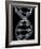 DNA Molecule, Computer Artwork-David Mack-Framed Photographic Print