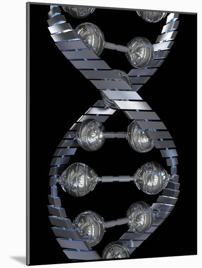 DNA Molecule, Computer Artwork-David Mack-Mounted Photographic Print