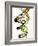 DNA Molecule, Conceptual Artwork-PASIEKA-Framed Photographic Print