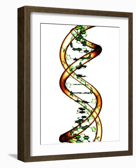 DNA Molecule, Conceptual Artwork-PASIEKA-Framed Photographic Print