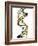 DNA Molecule, Conceptual Artwork-PASIEKA-Framed Photographic Print