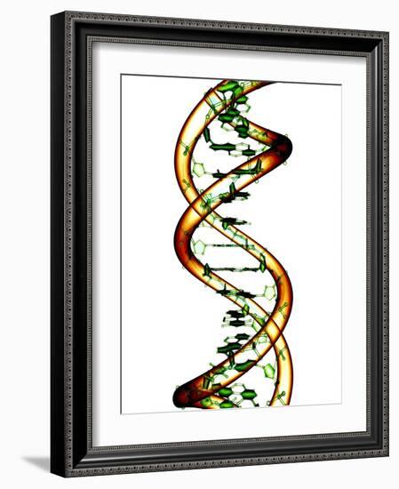 DNA Molecule, Conceptual Artwork-PASIEKA-Framed Photographic Print