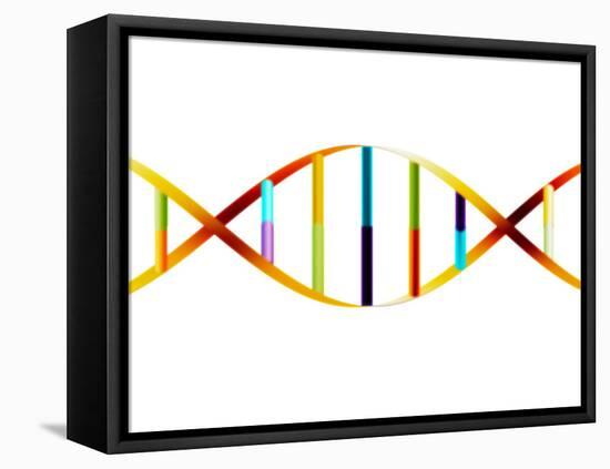 DNA Molecule-PASIEKA-Framed Premier Image Canvas