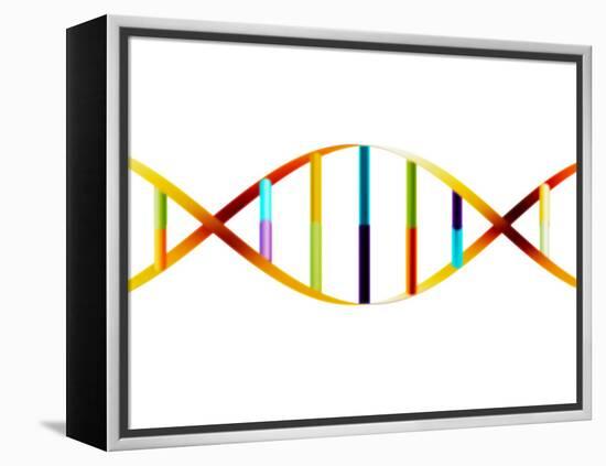 DNA Molecule-PASIEKA-Framed Premier Image Canvas