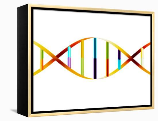 DNA Molecule-PASIEKA-Framed Premier Image Canvas