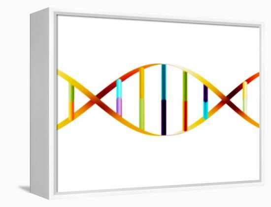 DNA Molecule-PASIEKA-Framed Premier Image Canvas