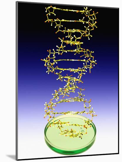 DNA Molecule-Victor De Schwanberg-Mounted Photographic Print