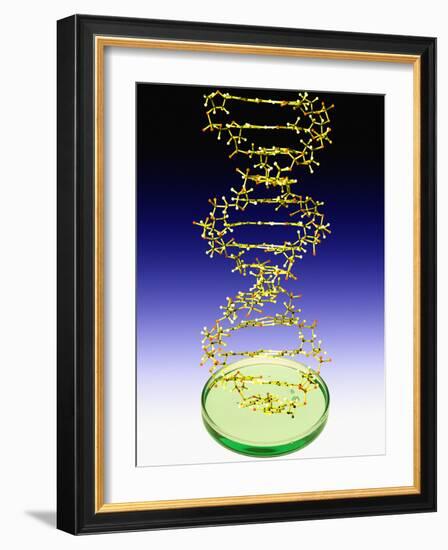 DNA Molecule-Victor De Schwanberg-Framed Photographic Print