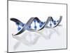 DNA Molecule-David Mack-Mounted Photographic Print
