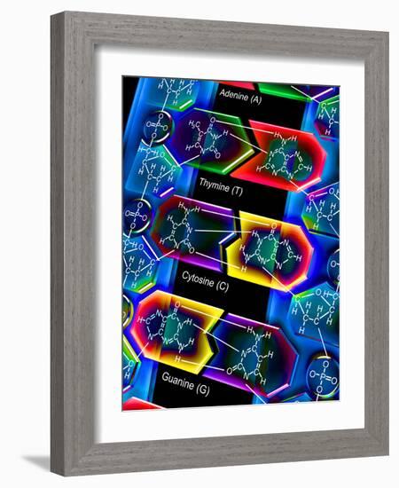 DNA Molecule-PASIEKA-Framed Photographic Print