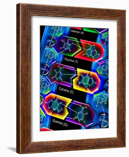 DNA Molecule-PASIEKA-Framed Photographic Print