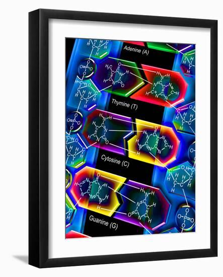 DNA Molecule-PASIEKA-Framed Photographic Print