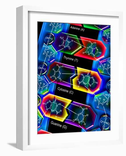 DNA Molecule-PASIEKA-Framed Photographic Print