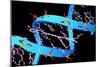 DNA Molecule-PASIEKA-Mounted Photographic Print