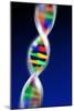 DNA Molecule-PASIEKA-Mounted Photographic Print