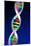 DNA Molecule-PASIEKA-Mounted Photographic Print